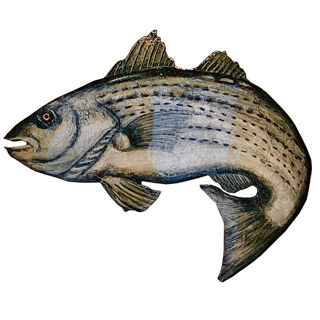 Striped Bass